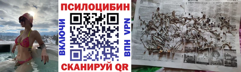 Галлюциногенные грибы Psilocybine cubensis  Петушки 